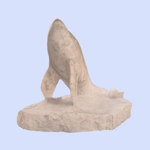 Alternative view of Albino