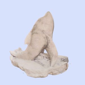 Albino